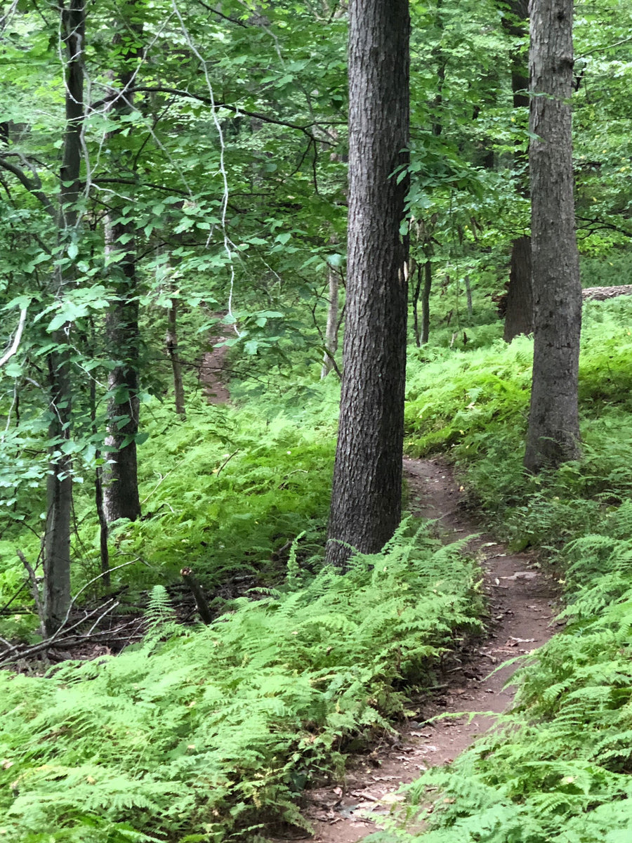 gunpowder falls state park bike trails