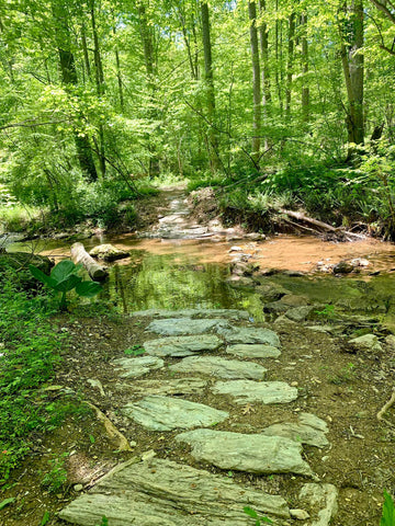 Patuxent River State Park