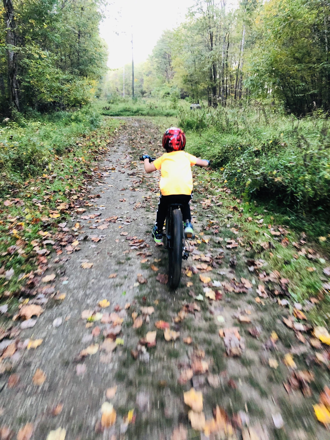 Wakefield Park – MORE-MTB