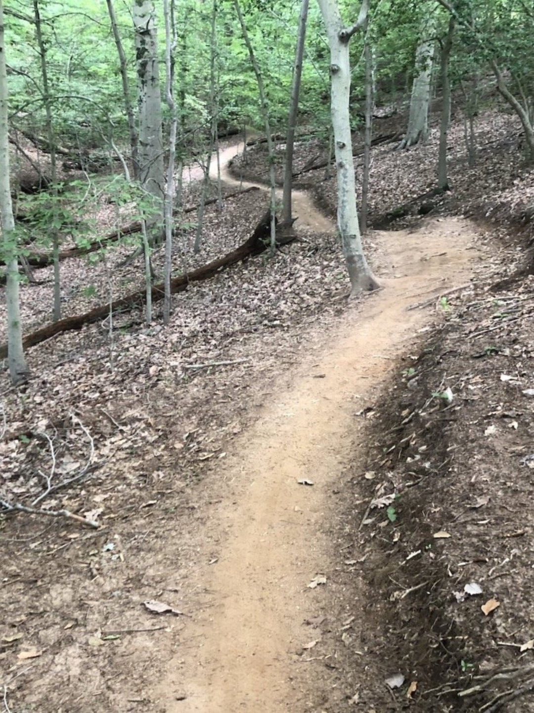 Hiking Trails Mountain Creek Bike Park Location Annapolis